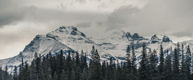 Snow-covered mountain peaks with jagged ridges rising above dense coniferous forest under overcast sky