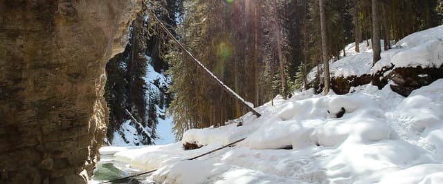 Snowy mountain gorge with rocky cliffs, flowing stream, and tall evergreen trees in winter sunlight