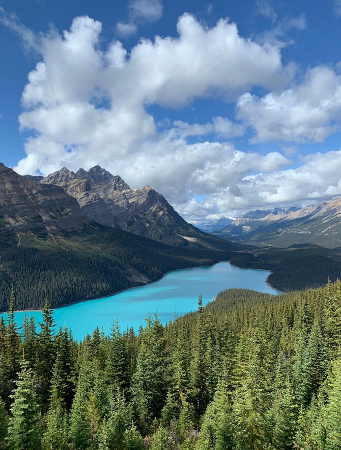 5 Easy Hikes Near Canmore