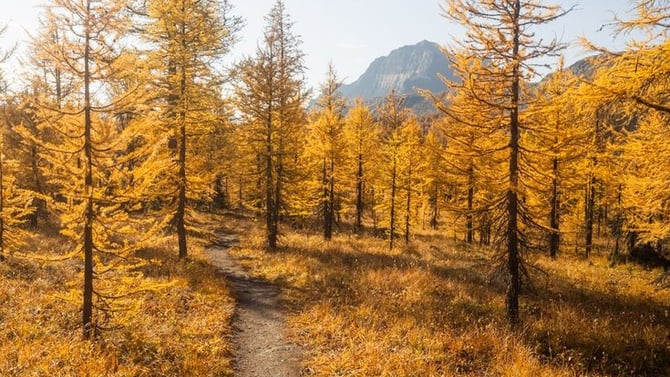 Fall in the Rockies: Top Things to Do in Banff This September