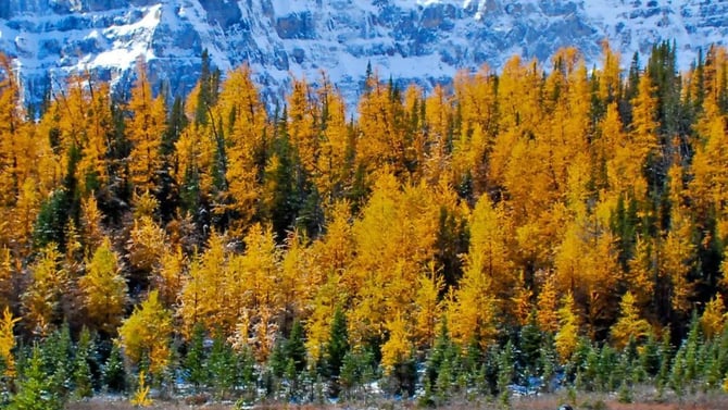 Why September Is Alberta’s Best-Kept Secret for Mountain Getaways
