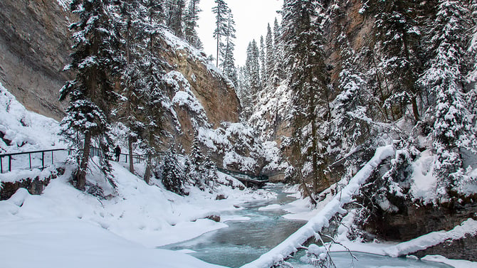 Experience a Guided Walk of Grotto Canyon & Jura Creek